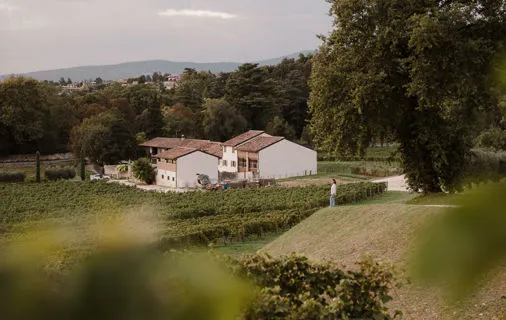 WineAri experiences
