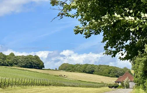 Sussex